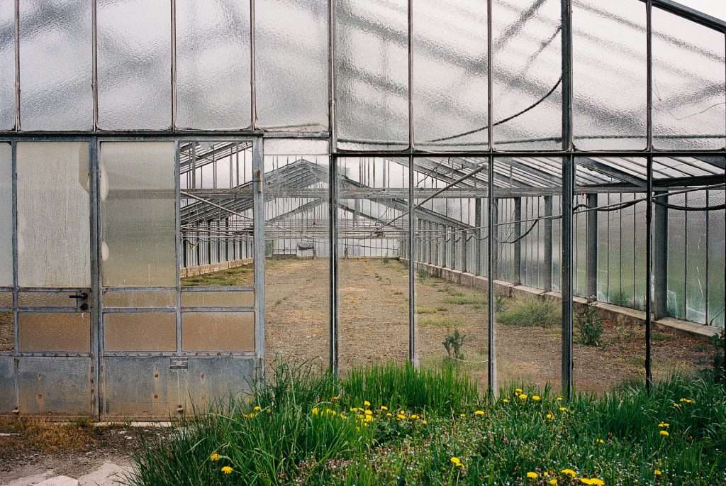 Leica M6 analoge fotografie 2024