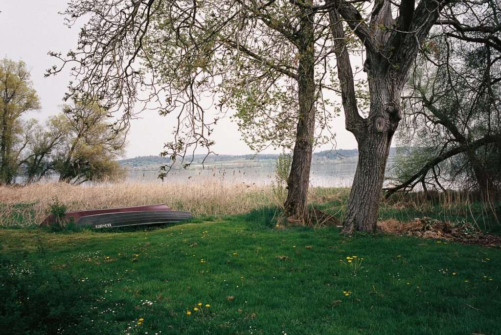 Leica M6 analoge fotografie 2024