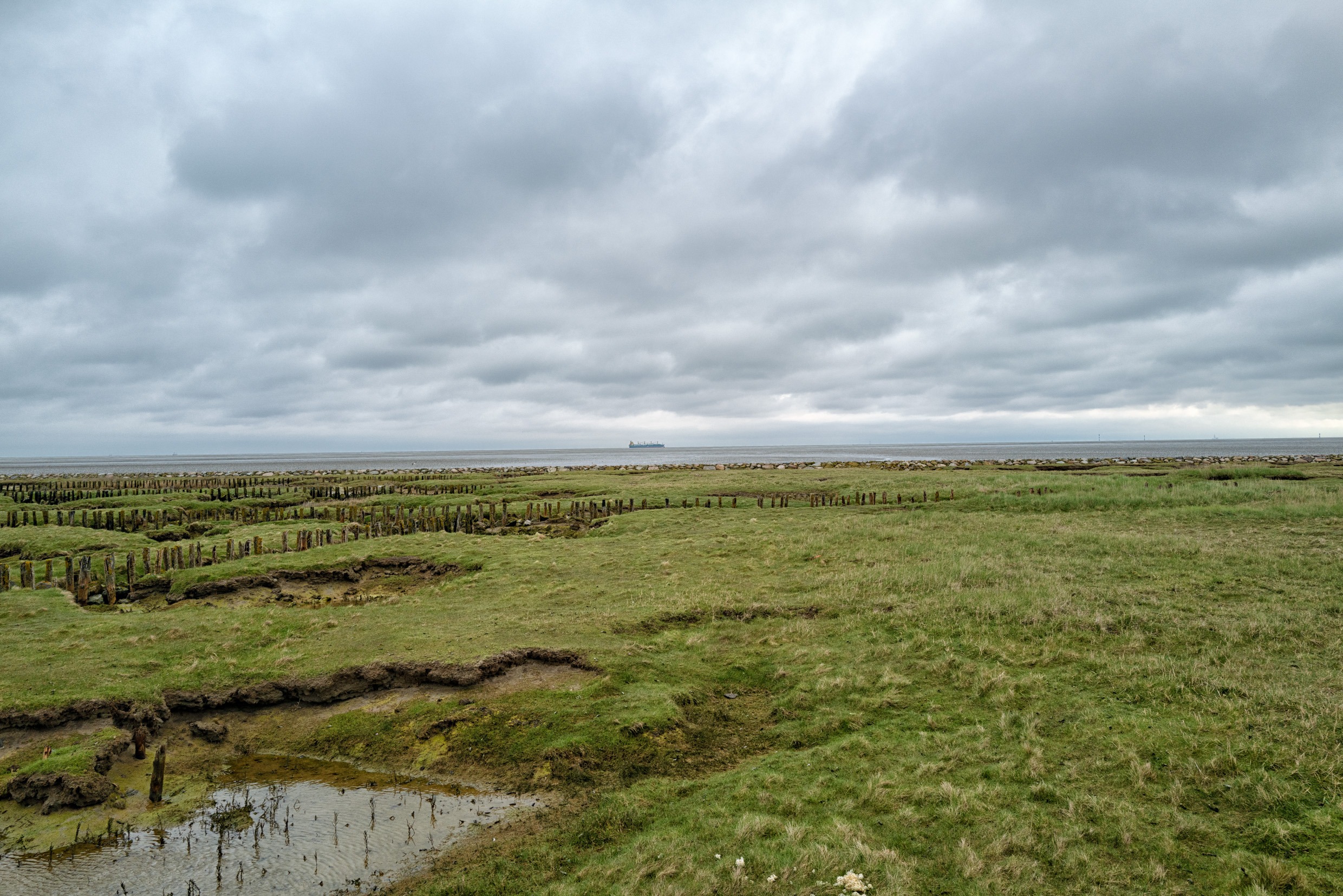 Insel Neuwerk 2023