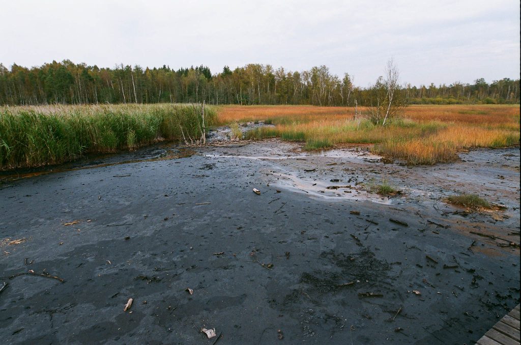 Hochmoor SOOS in der deutsch-böhmischen Grenzregion