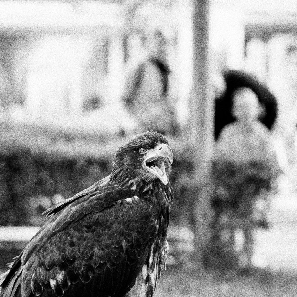 Photowalk Leica M6 Horizonte Zingst 2025 #weckbrodt

#Photowalk
#LeicaM6
#leica_store_nuernberg
#AnalogPhotography
#FilmIsNotDead
#koenigphotobags
#Leica_camera
#HorizonteZingst
#HZ2025
#Zingst
#Ostsee
#MecklenburgVorpommern
#AnalogeFotografie
#35mmFilm
#FilmPhotography