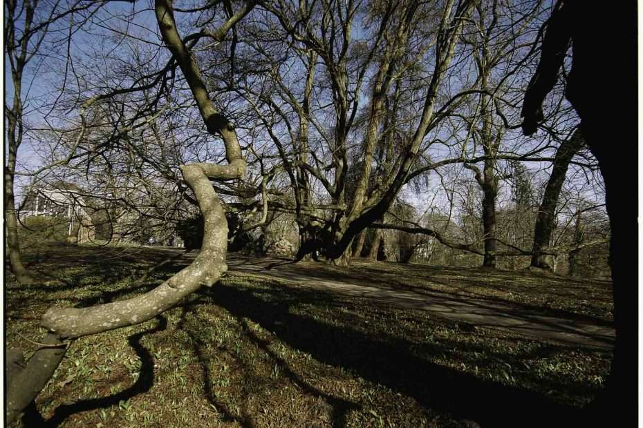 Schlosspark von Putbus