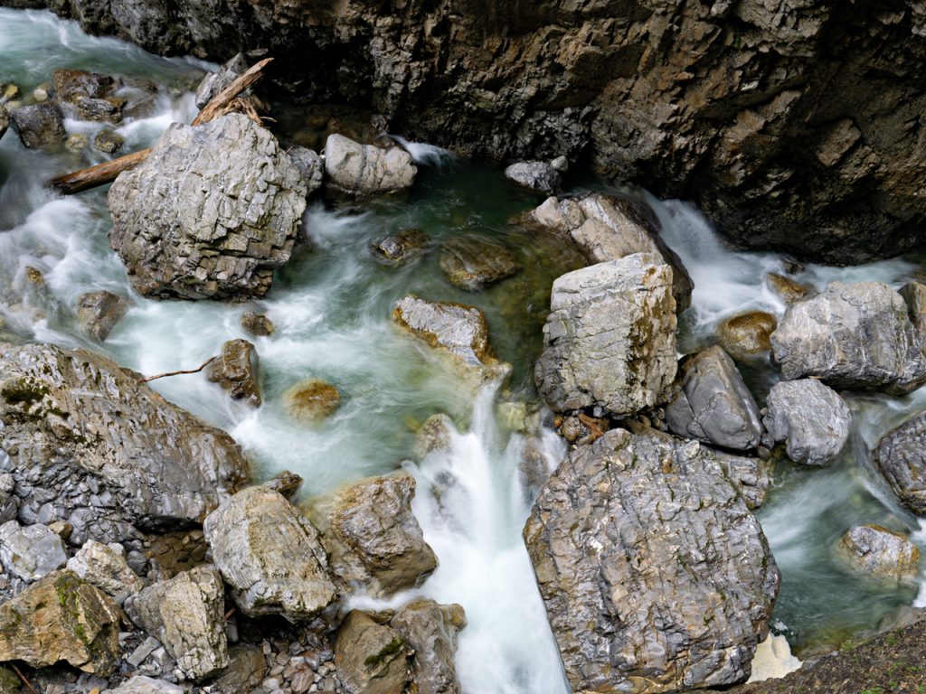 Breitachklamm bei Oberstdorf Alpensalamander