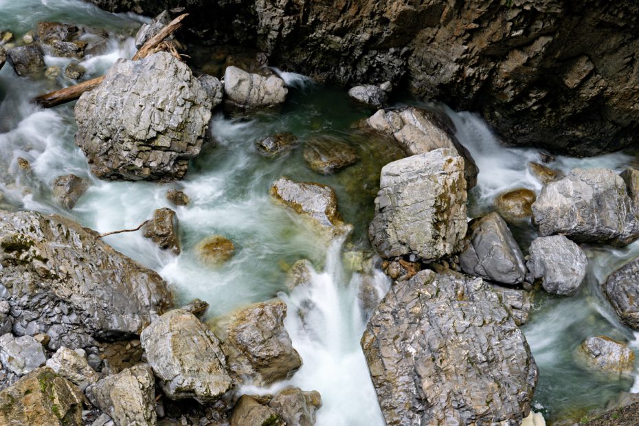 Breitachklamm bei Oberstdorf Alpensalamander