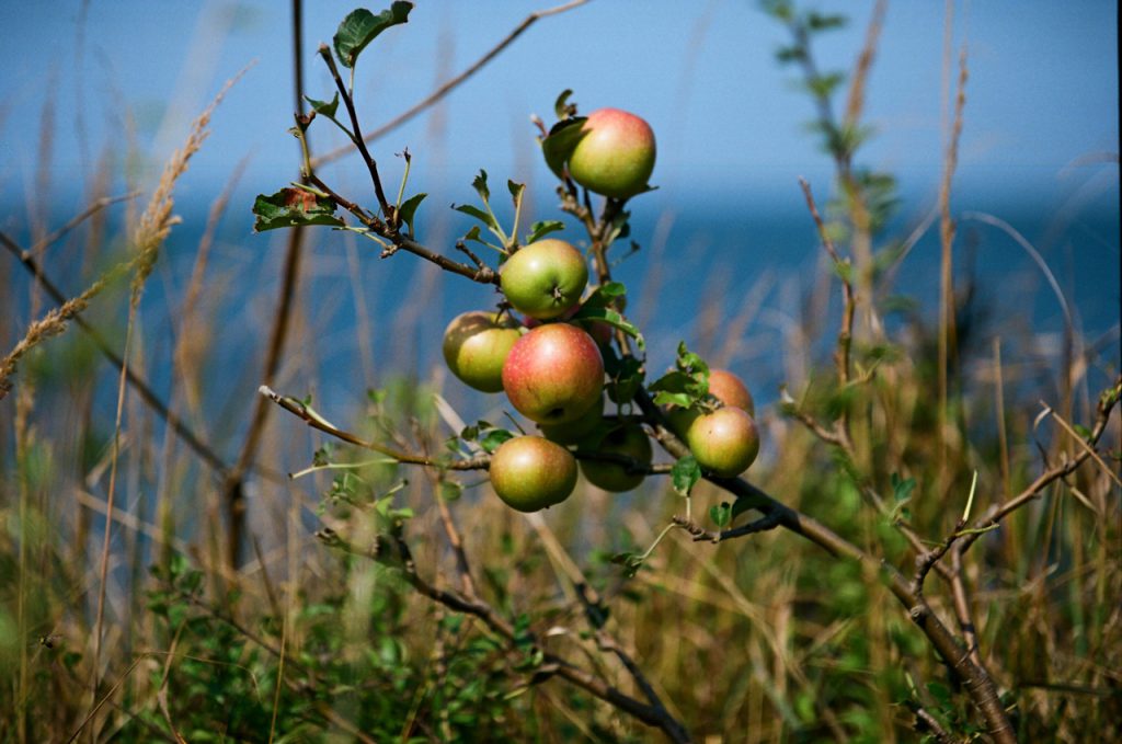 Dranske Rügen Strand