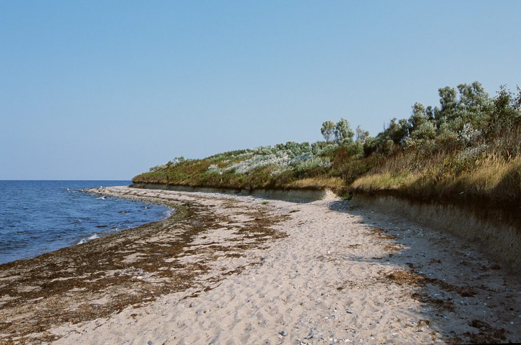 Dranske Rügen Strand
