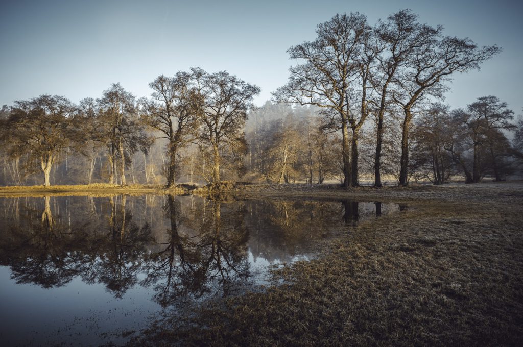 Naturpark Fichtelgebirge