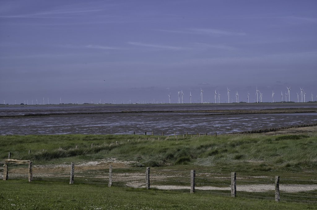 Hamburger Hallig