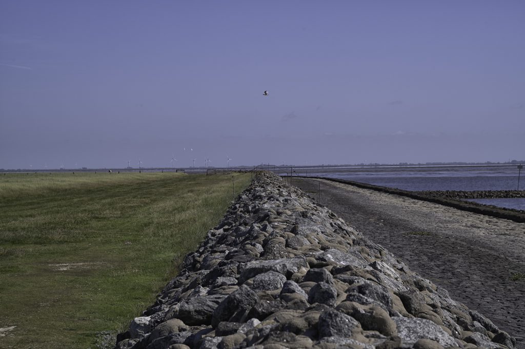 Hamburger Hallig