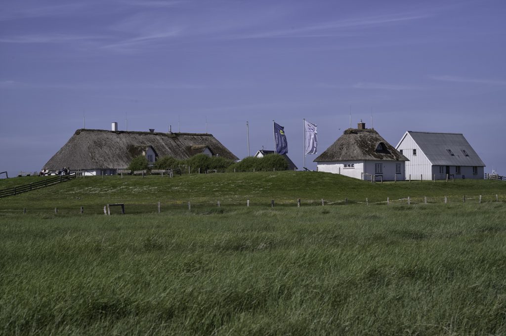 Hamburger Hallig