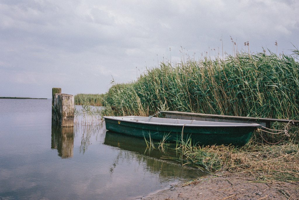 Fotografie zwischen Natur, Reise und analogem Blick