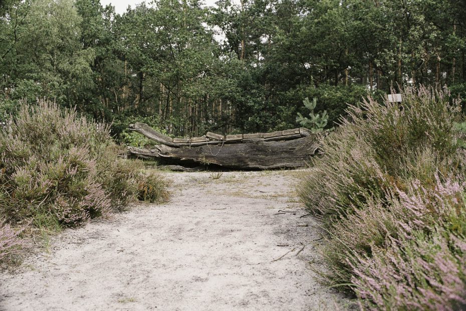 Lüneburger Heide