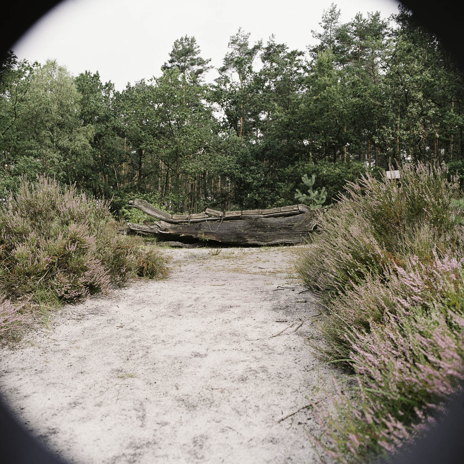 Totengrund und Wilsede in der Lüneburger Heide