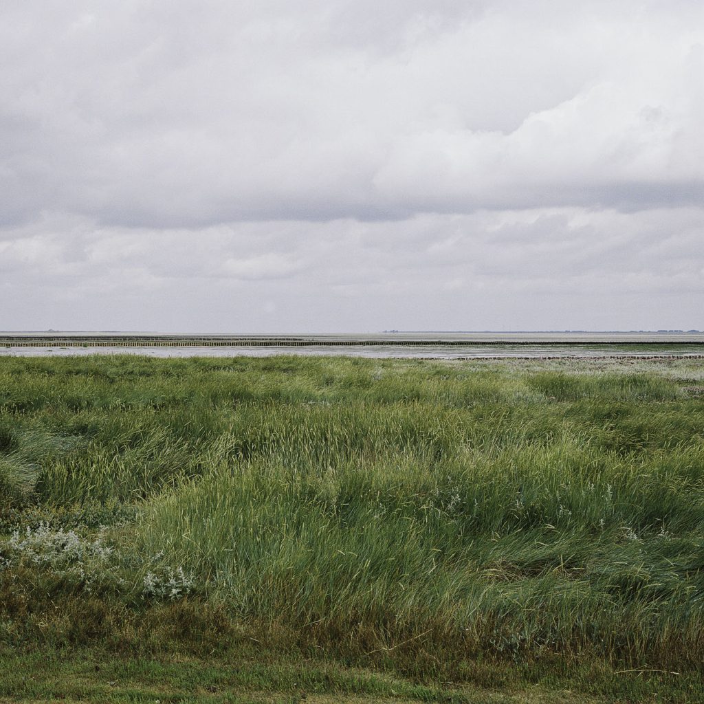 Hamburger Hallig