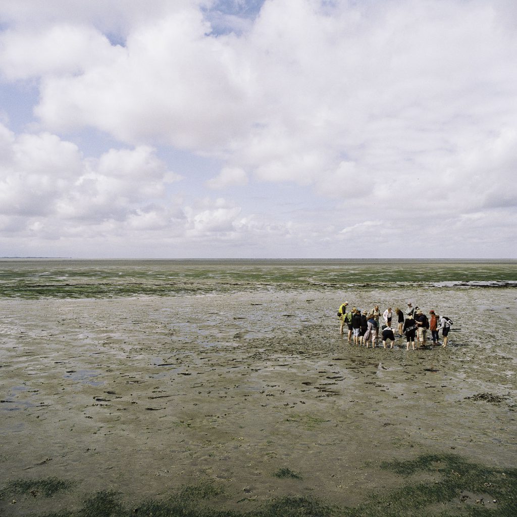 Hamburger Hallig