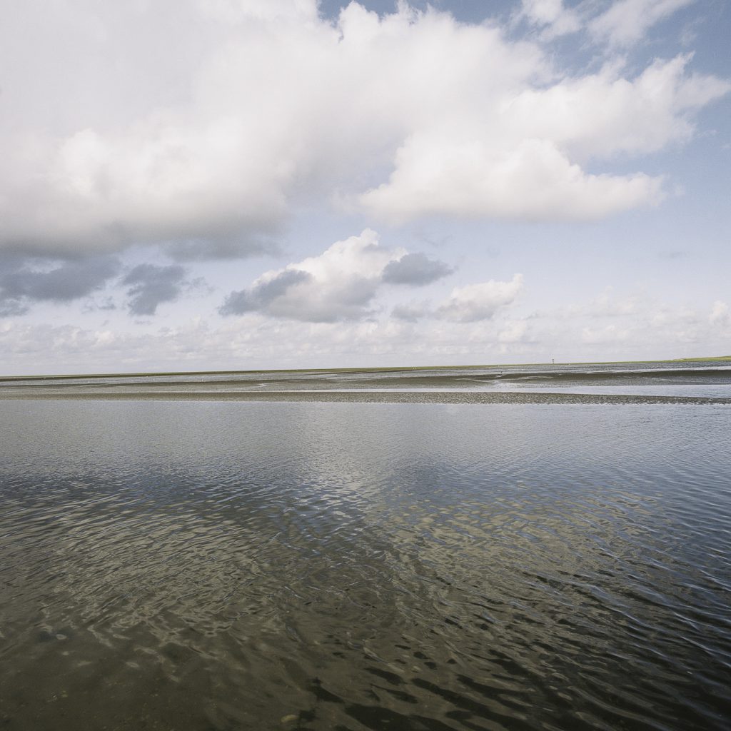 Lüneburger Heide