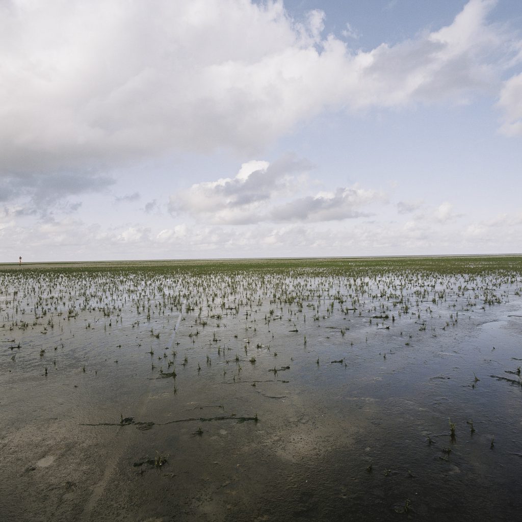 Hamburger Hallig