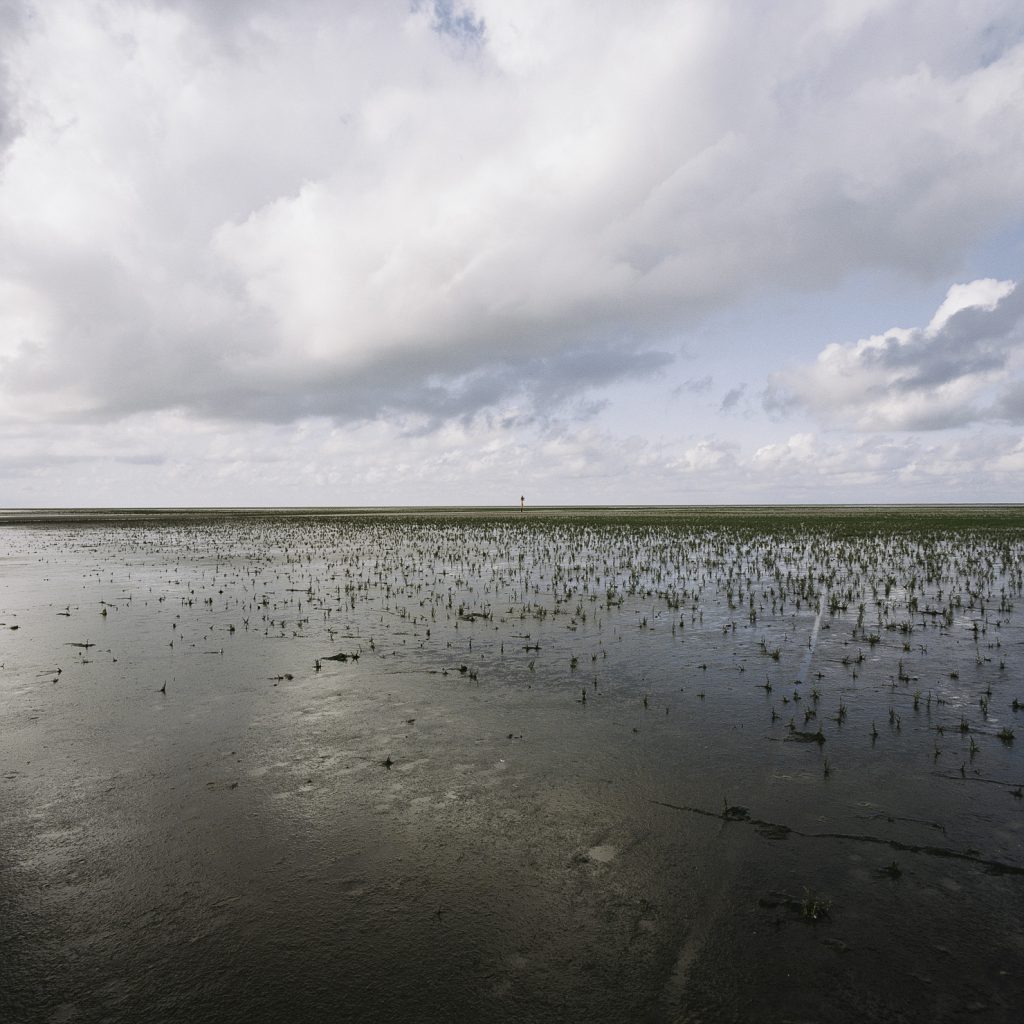 Hamburger Hallig