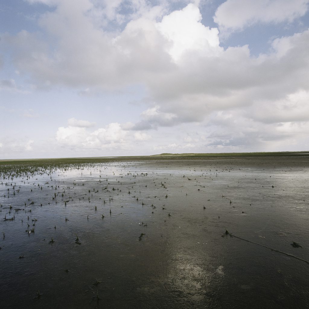 Hamburger Hallig