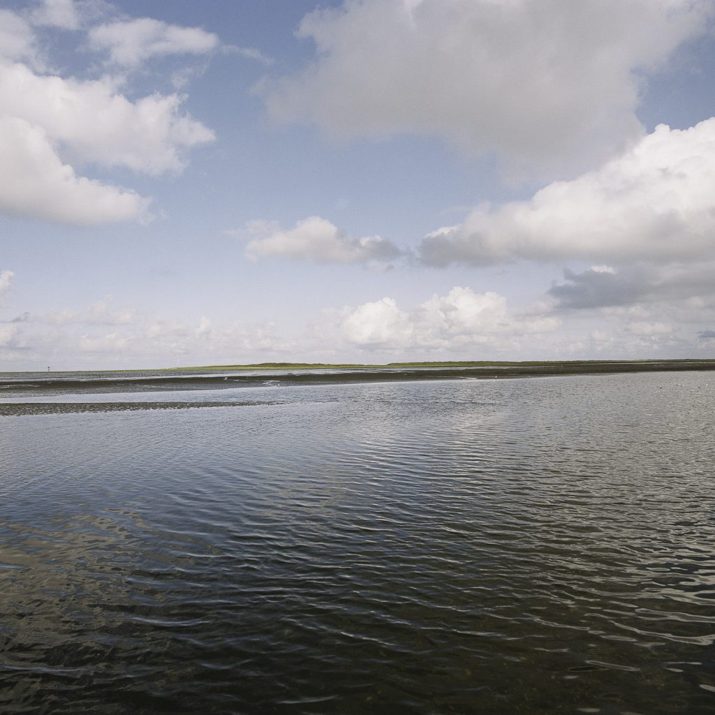 Hamburger Hallig