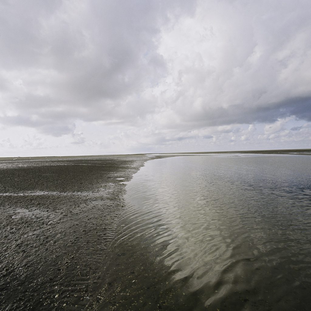 Lüneburger Heide