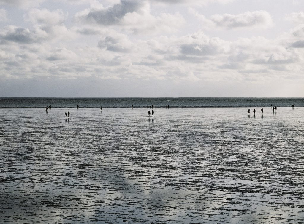 Lüneburger Heide