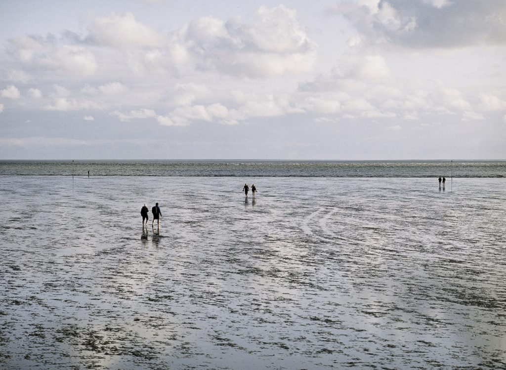 Lüneburger Heide