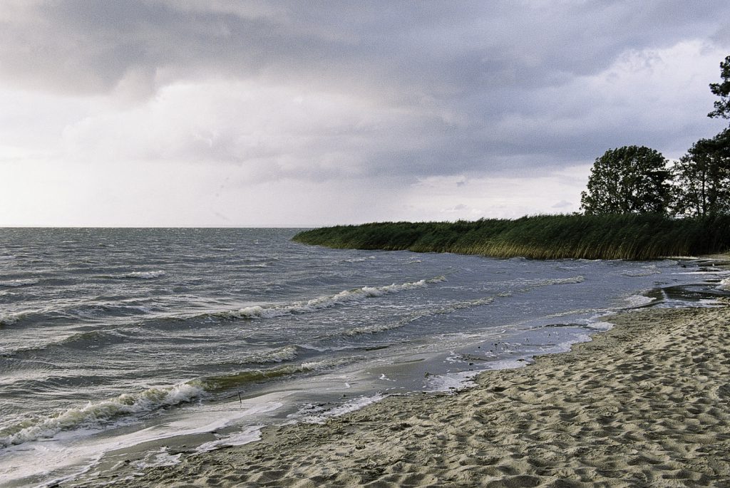Lüneburger Heide
