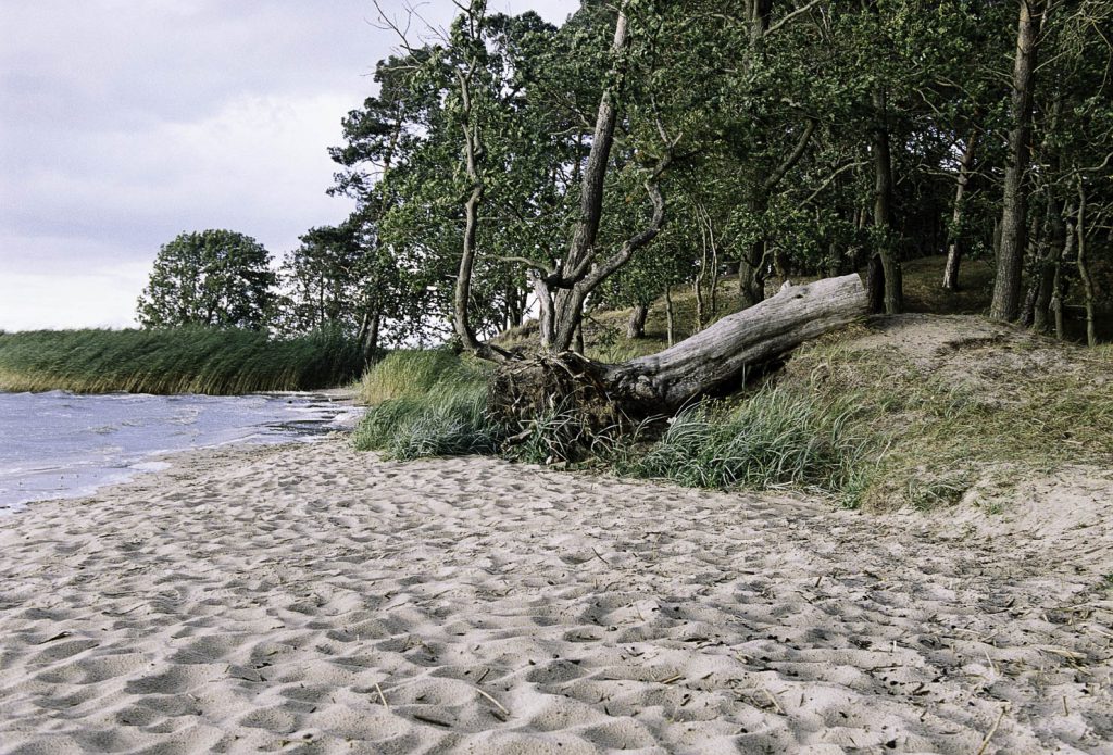 Lüneburger Heide