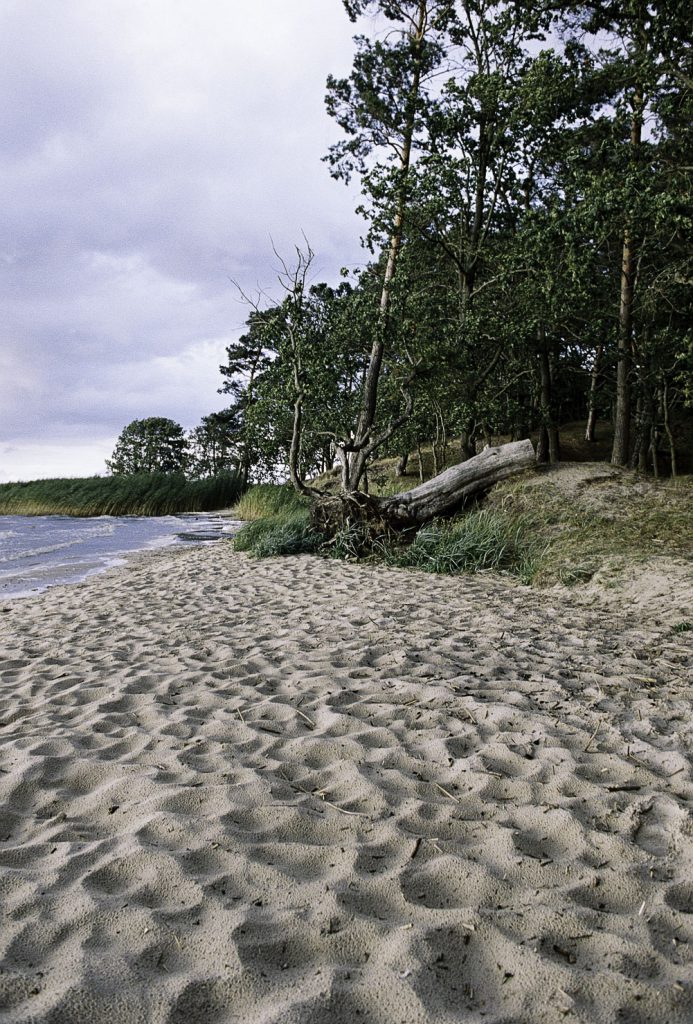 Lüneburger Heide