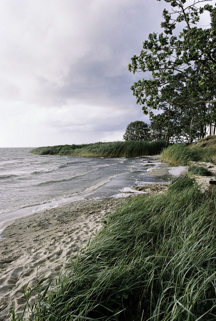 Lüneburger Heide