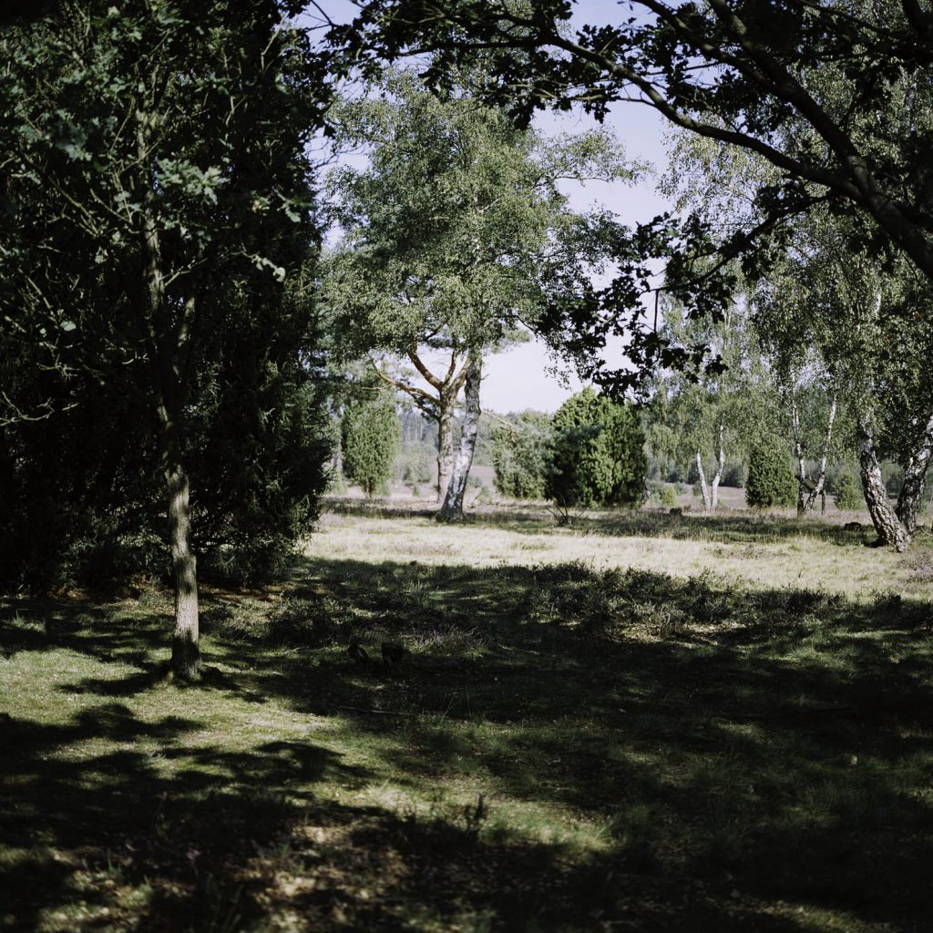 Lüneburger Heide