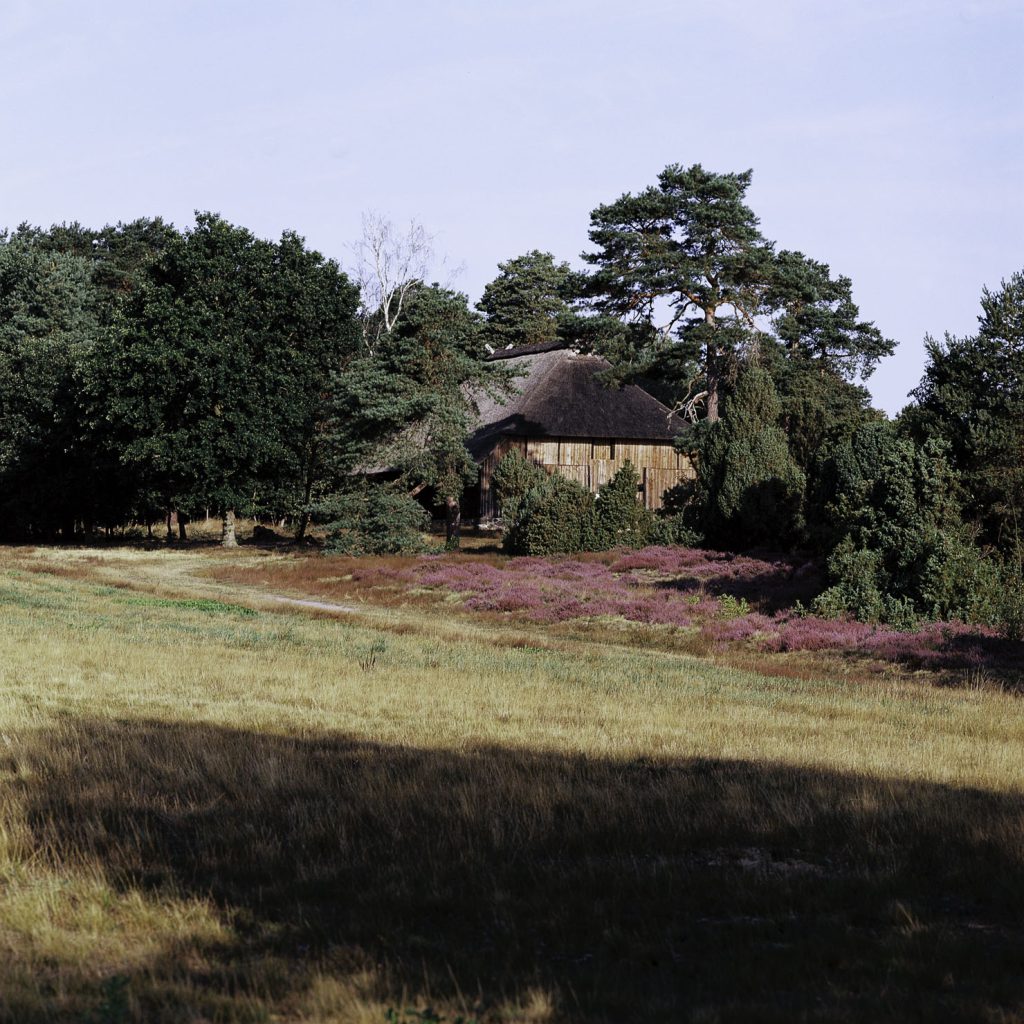 Lüneburger Heide