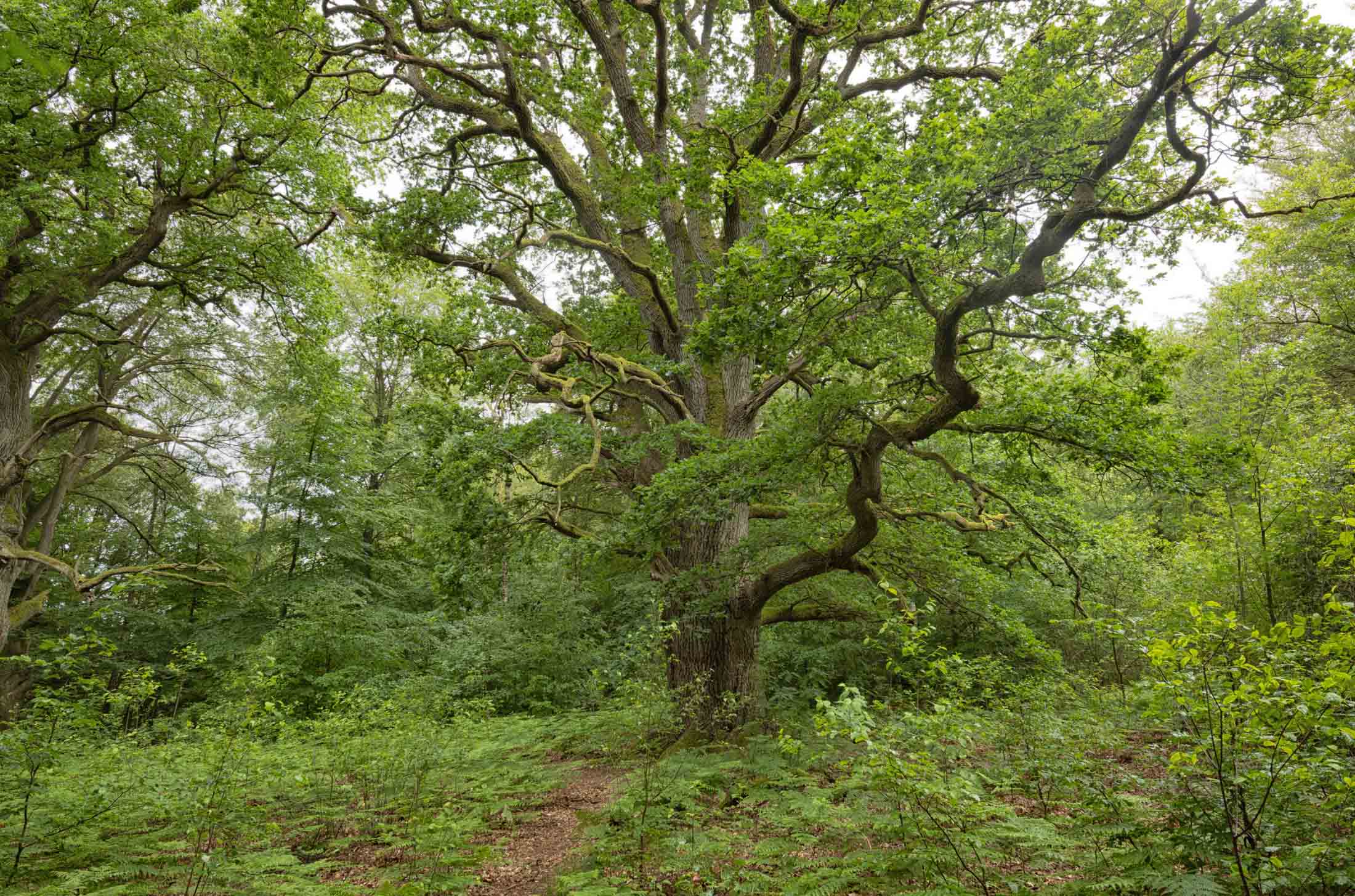 Nationalpark Müritz