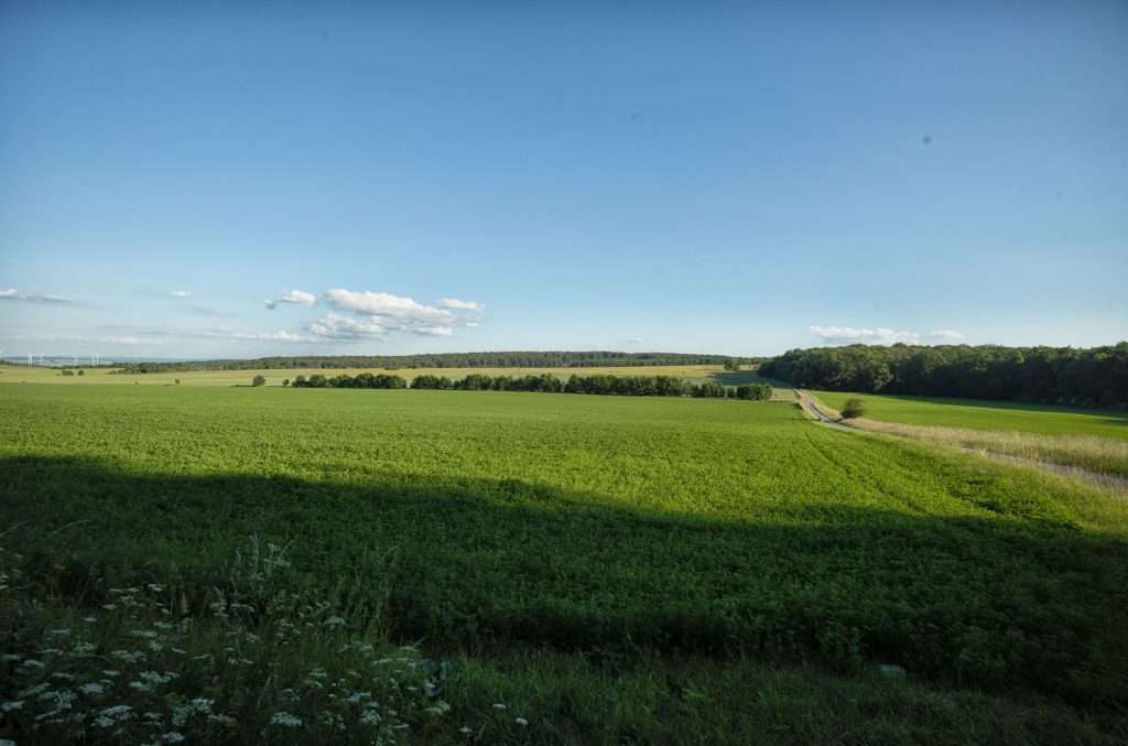Nationalpark Hainich