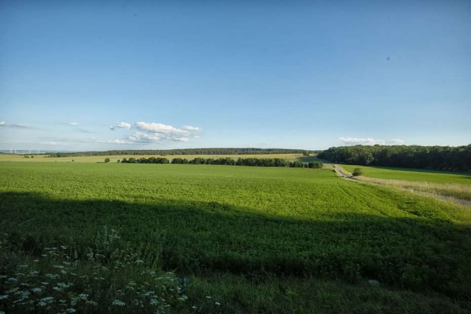 Nationalpark Hainich