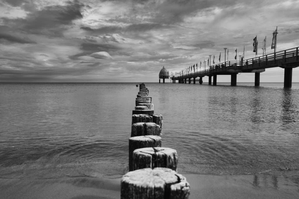 19. Horizone Filmfestival Zingst