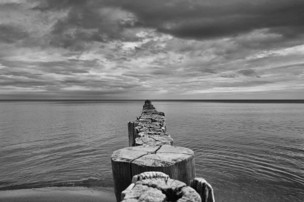 horizonte zingst 2026