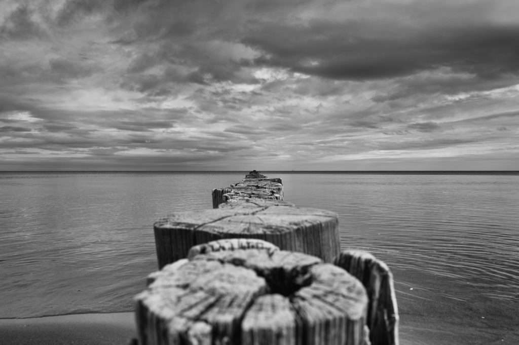 horizonte zingst 2026