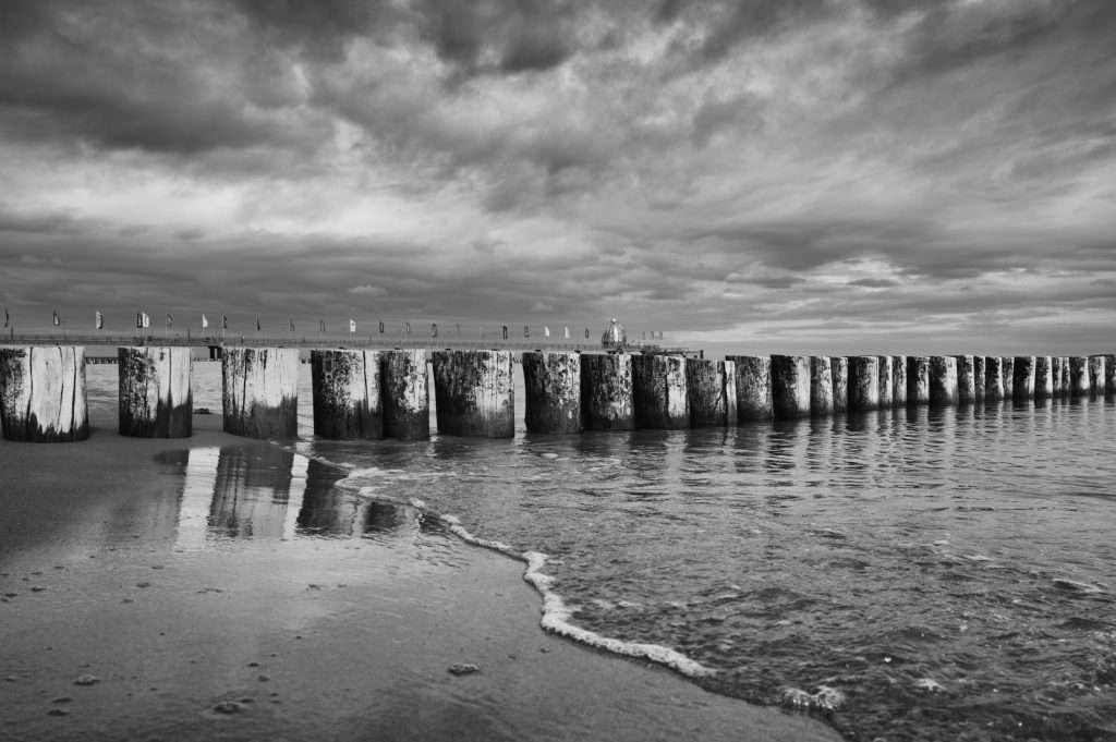 horizonte zingst 2026