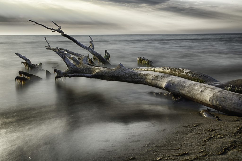 langzeitbelichtung Weststrand Fischland-Darß