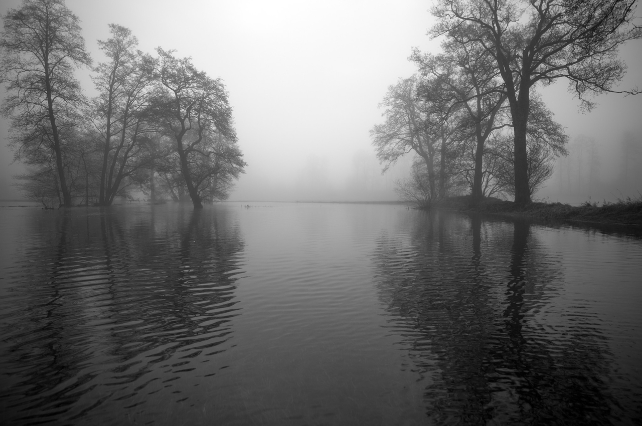 Leica M11 Monochrom