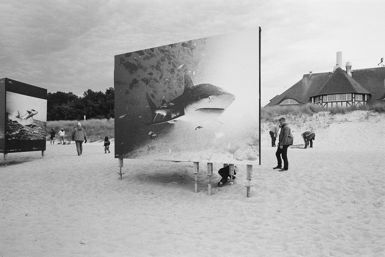 Kameras und Ausrüstung für analoge und digitale Fotografie