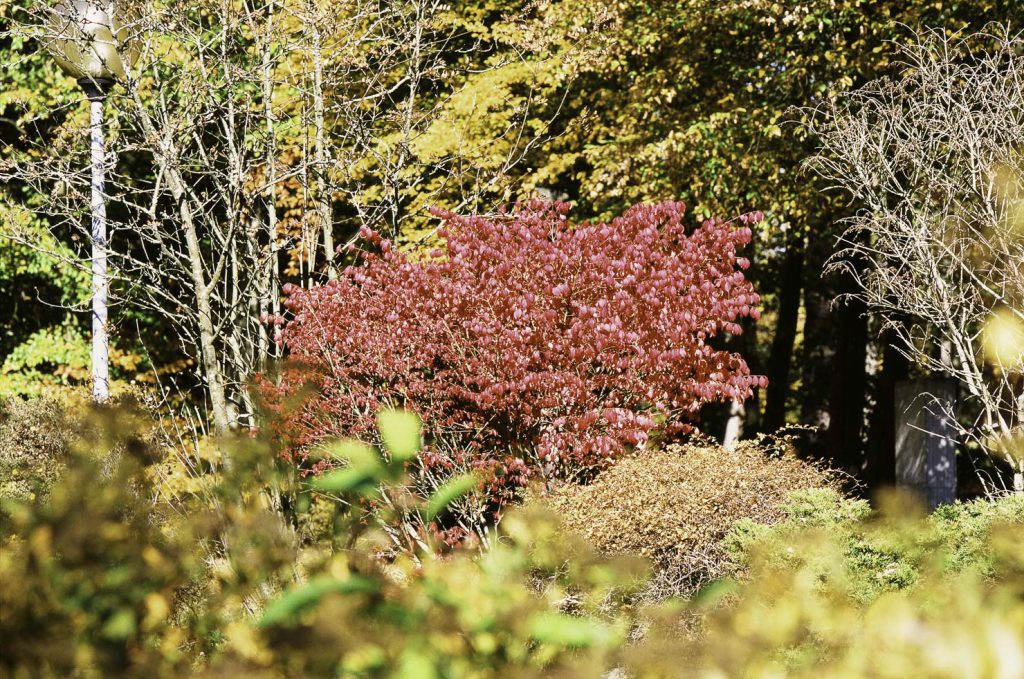 Naturpark Fichtelgebirge