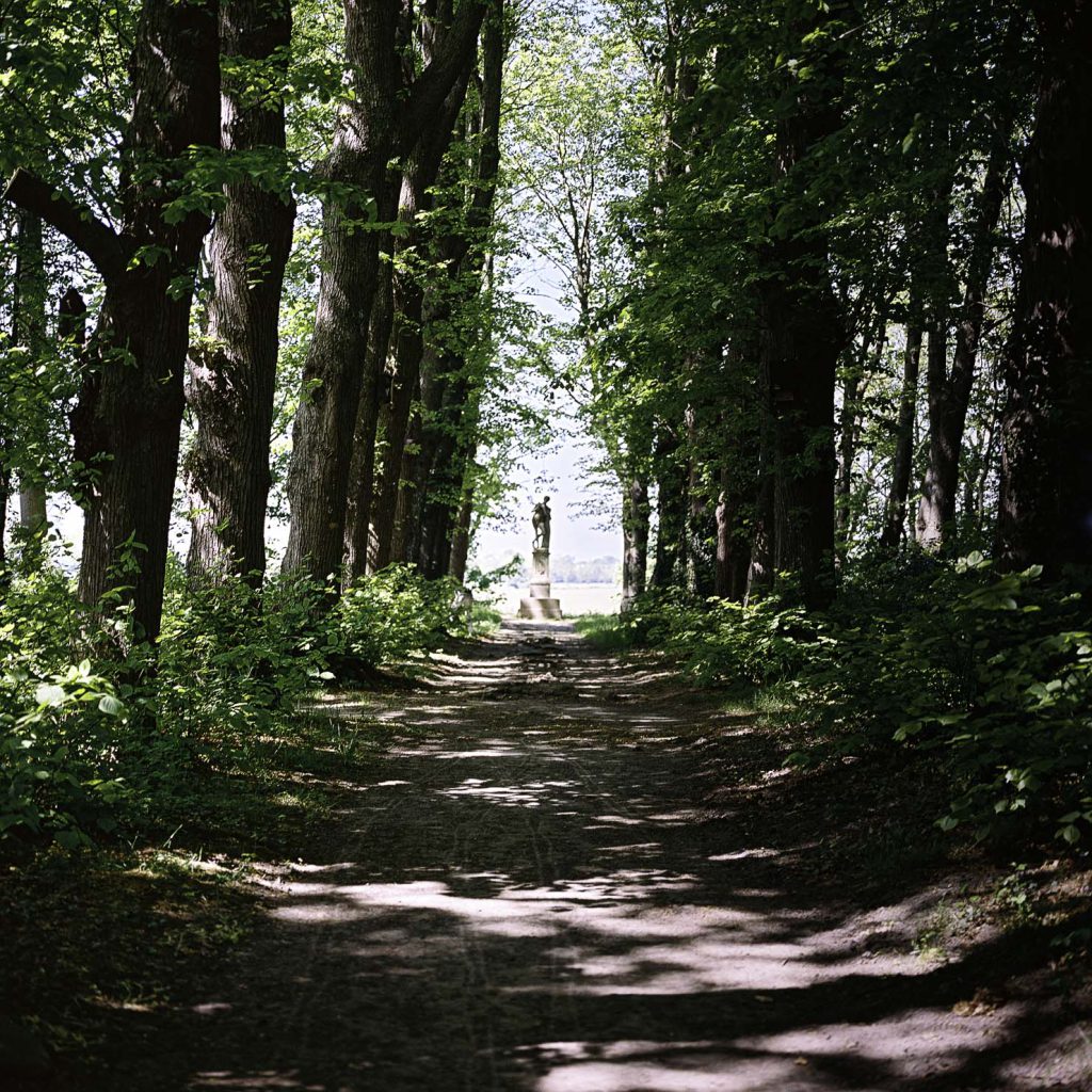 Norddeutschland Nationalpark Wattenmeer