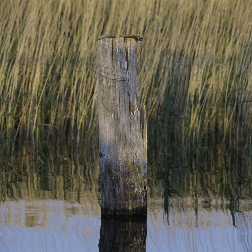 Norddeutschland Nationalpark Wattenmeer