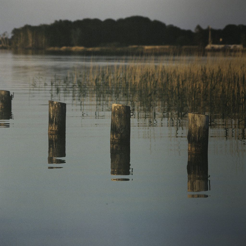 Norddeutschland Nationalpark Wattenmeer