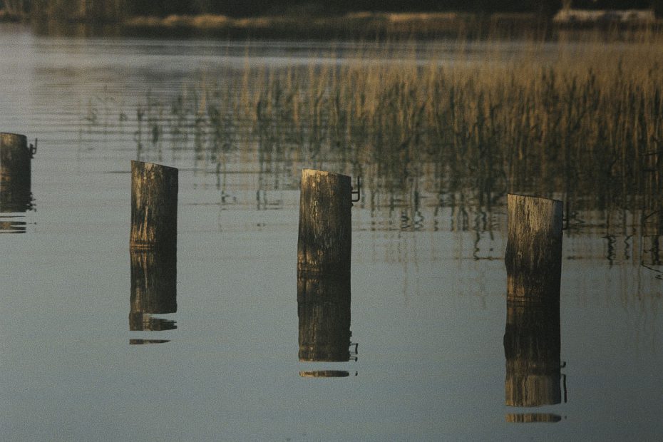 Norddeutschland Nationalpark Wattenmeer