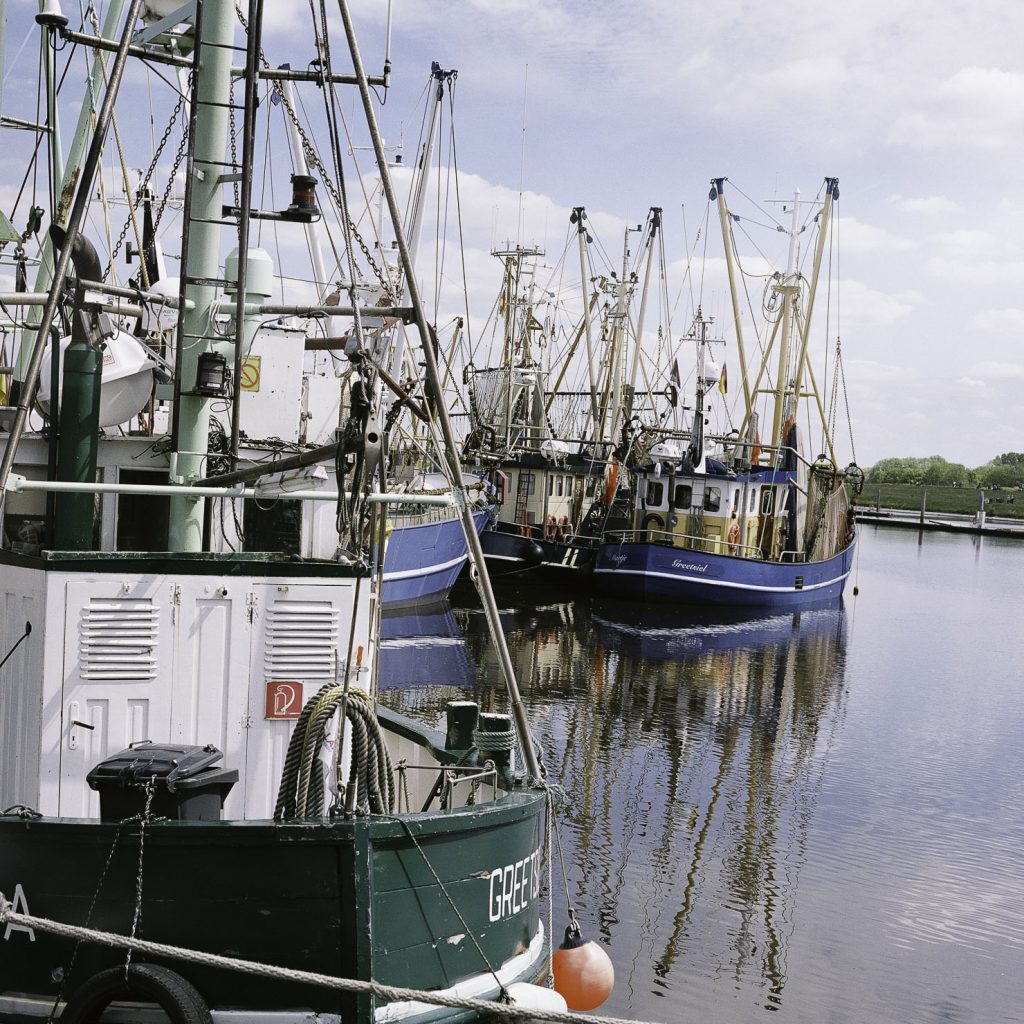 Norddeutschland Nationalpark Wattenmeer