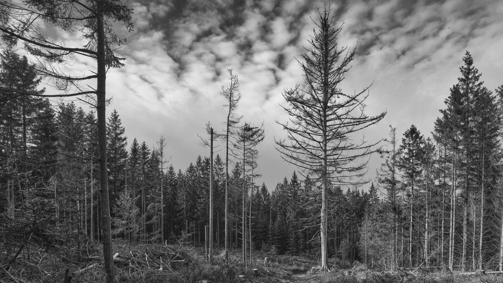 Naturpark Fichtelgebirge